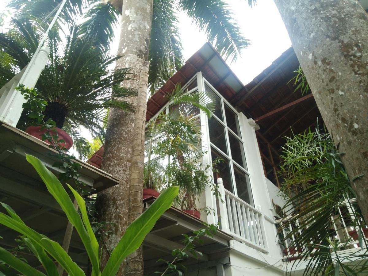 Michele'S Garden Anjuna Exterior foto